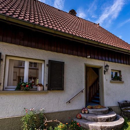 Gartenferienhaus "Annaluise" Schönau im Schwarzwald Buitenkant foto