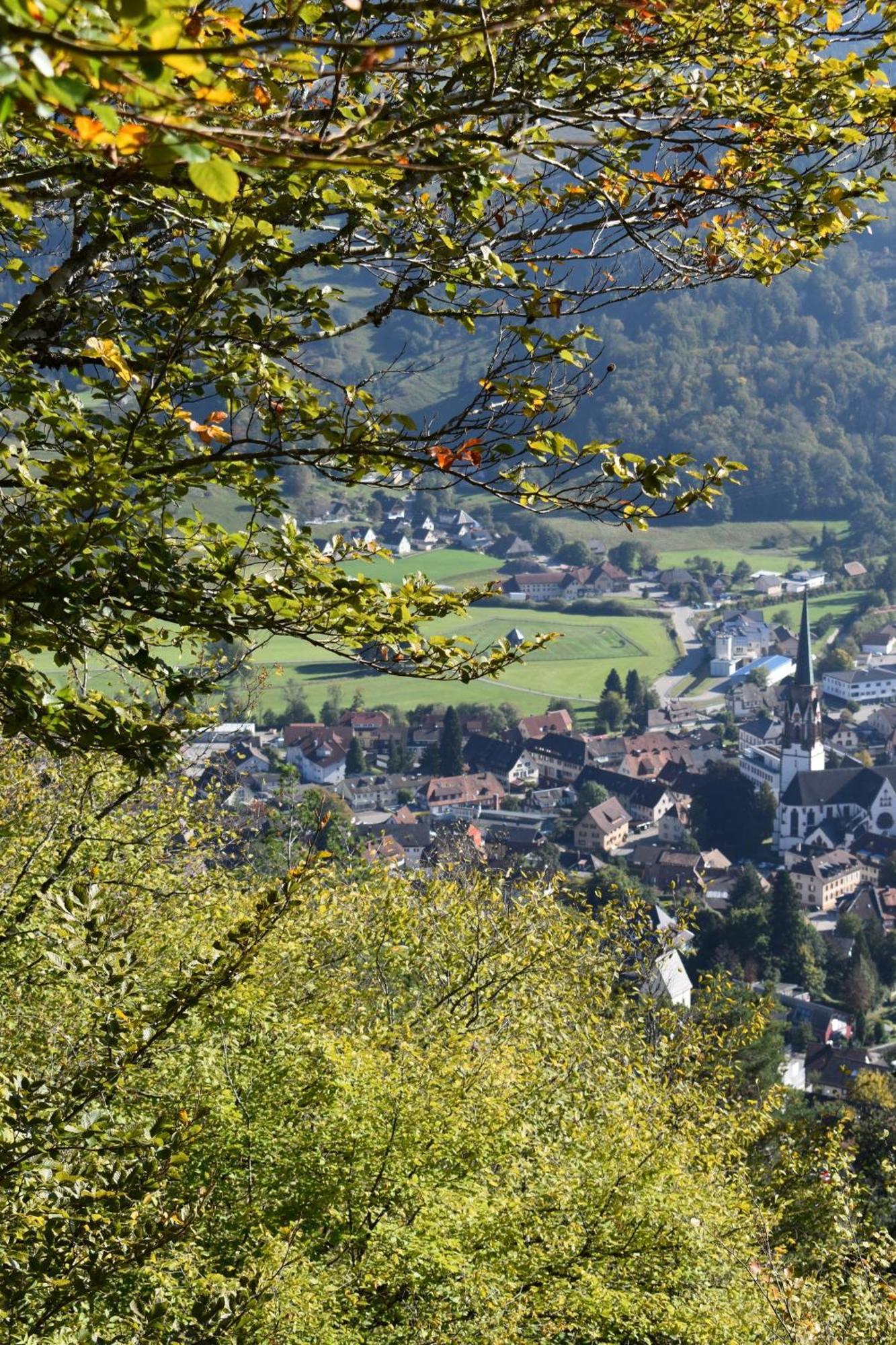 Gartenferienhaus "Annaluise" Schönau im Schwarzwald Buitenkant foto