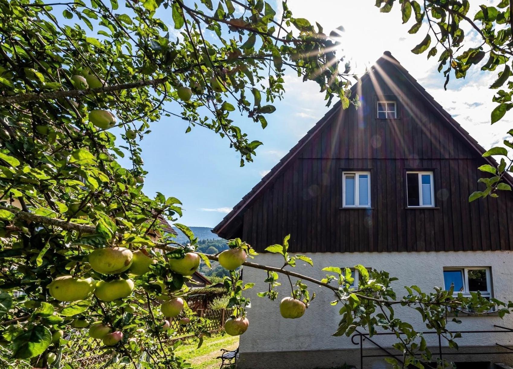 Gartenferienhaus "Annaluise" Schönau im Schwarzwald Buitenkant foto