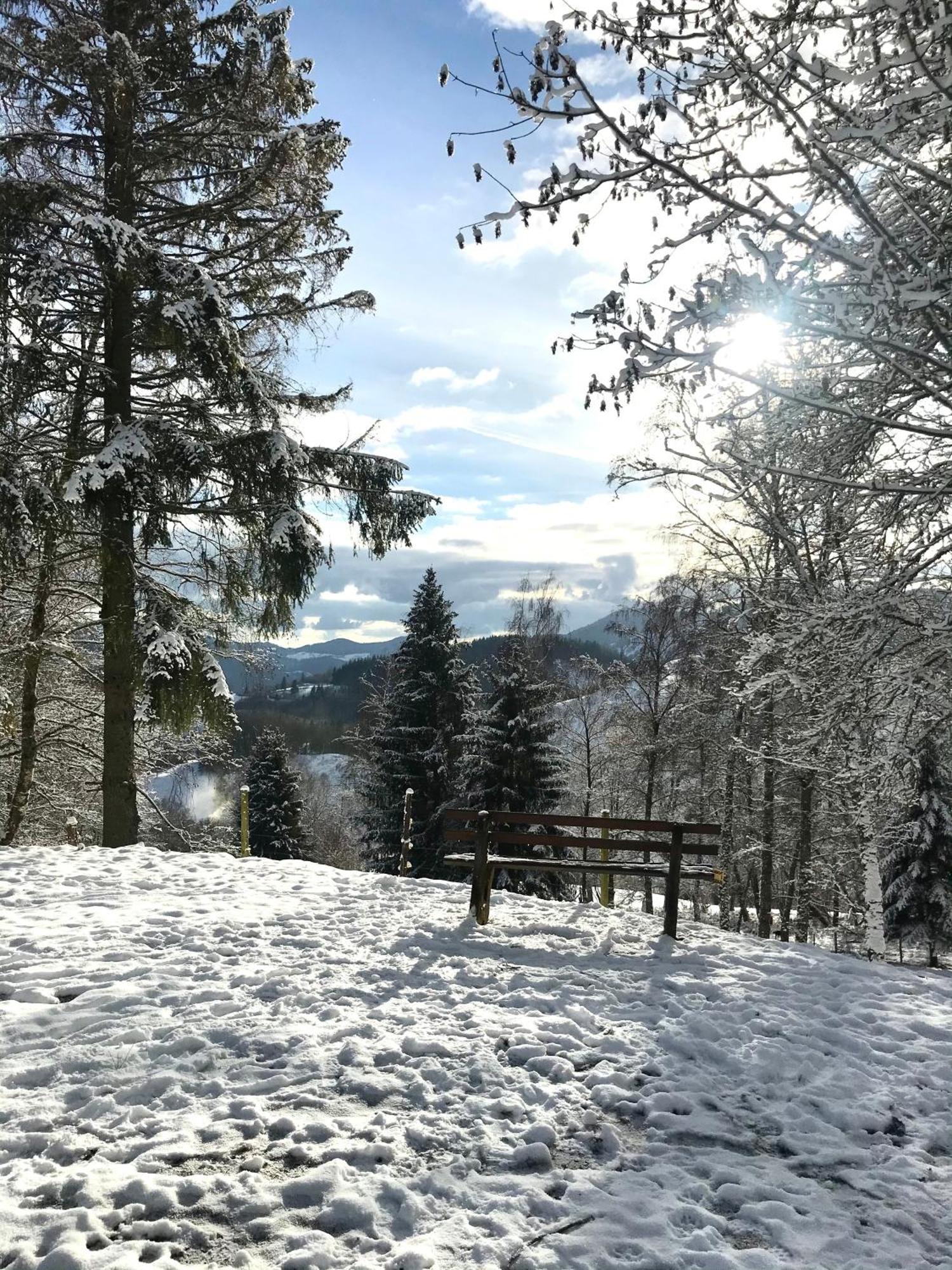 Gartenferienhaus "Annaluise" Schönau im Schwarzwald Buitenkant foto